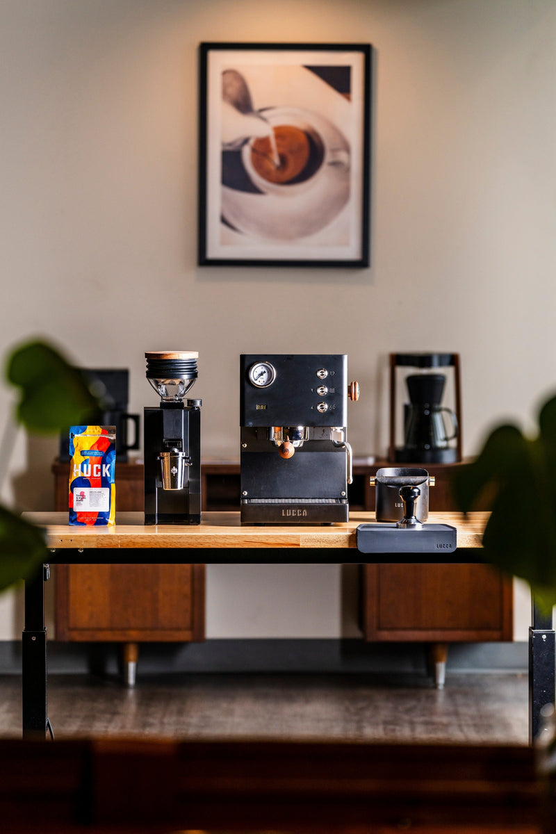 LUCCA Tempo vs LUCCA Solo: Which LUCCA Fits Your Kitchen