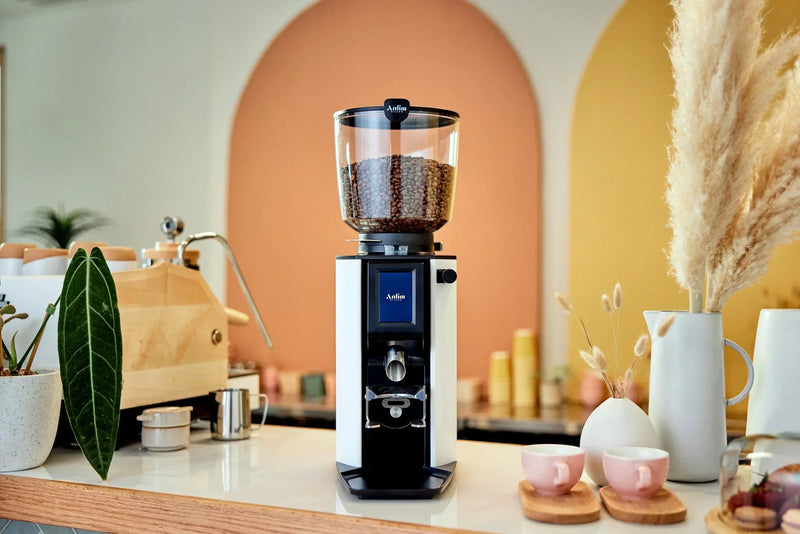 Anfim Luna Espresso Grinder: What to Know Before Buying