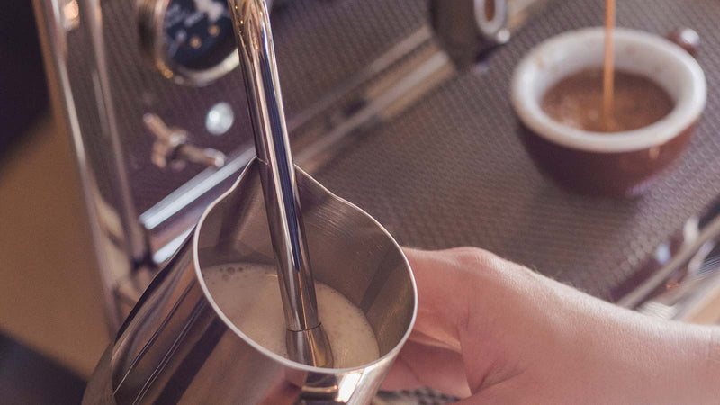 How to Steam Milk for Lattes and Cappuccinos at Home