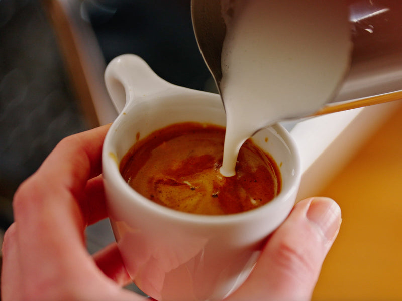 How to Steam and Foam Oat Milk on a Home Espresso Machine