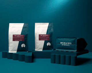 Two Nicaragua Jinotega Parisi Coffee bags with maroon labels against a teal backdrop.