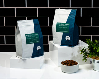 Estrada de Terra coffee bags on a white surface with bowls of roasted beans and a plant against a brick wall.