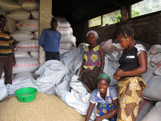 People inside a warehouse surrounded by stacked white sacks of coffee and other bags ready for shipment.