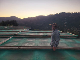 Smiling man in a wide brim hat and checkered shirt stands on a green rooftop deck with distant hills at sunset