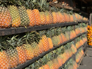 Pineapples with crowns lined on black shelves during pineapple processing at Finca Santa Ana