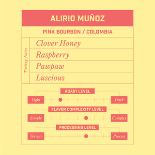 Morningsong coffee bag labeled Alirio Muñoz Pink Bourbon Colombia with tasting notes panel Clover Honey Raspberry Pawpaw Luscious on a yellow backdrop