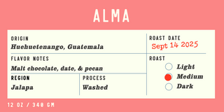 Alma Guatemala coffee label on a cream panel with origin and roast information against a coral background