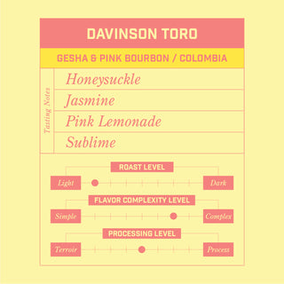 Davinson Toro Gesha Pink Bourbon Colombia coffee bag with colorful mosaic label by Morningsong Coffee Roasters