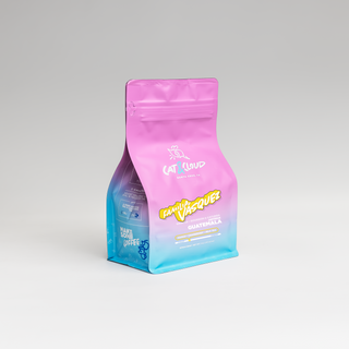 Cat & Cloud Guatemala Familia Vasquez coffee bag with pink top and blue gradient label against a light gray backdrop