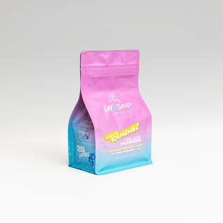 Nicaragua Silvio Sanchez Natural coffee bag in pink with Cat & Cloud logo against a pale studio backdrop.