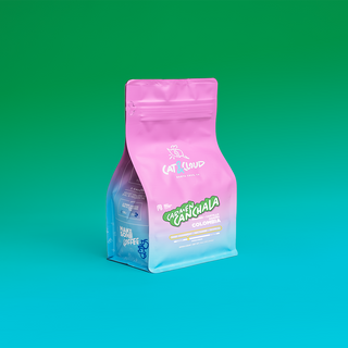 Colombia Carmen Canchala coffee bag in pink gradient packaging with Cat & Cloud branding