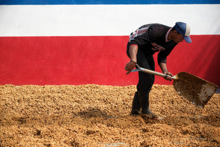 Costa Rica coffee farmer scooping honey processed beans on a drying area against a blue white red wall