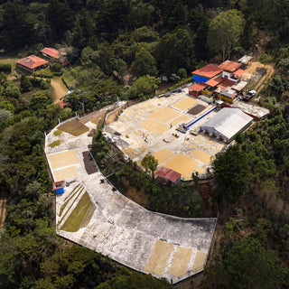 Aerial view of drying patios on a hillside coffee processing site at Finca Santa Ana.
