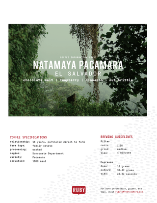 Coffee information sheet for Natamaya Pacamara El Salvador showing a forest scene, with a bold title and flavor notes chocolate malt raspberry cinnamon nut brittle and a Ruby logo.