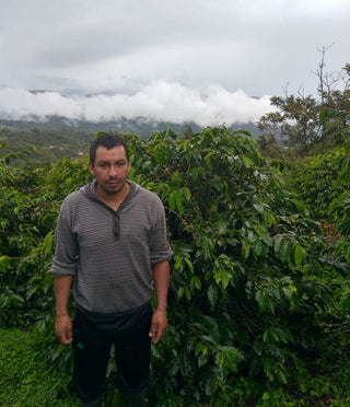 Didier Anacona standing among lush coffee plants on his San Agustin farm