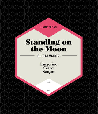 Front of Standing on the Moon coffee bag with pink bordered hexagon label and colorful cube logo against a black geometric background