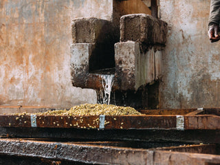 Hand near a wet coffee processing setup with beans spilling onto a wooden trough.