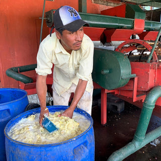 Worker in a light shirt and cap stirs pineapple mash in a blue tub beside red processing machinery.