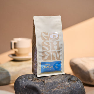 Xkaxkon coffee bag with circular logo sits on a rock against a warm peach background.