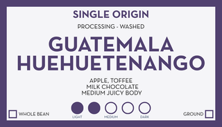 Guatemala Huehuetenango MAM single origin coffee bag with purple framed label on green packaging