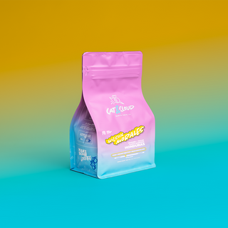 Wilson Morales Honduras coffee bag with pink to blue gradient packaging and Cat & Cloud branding