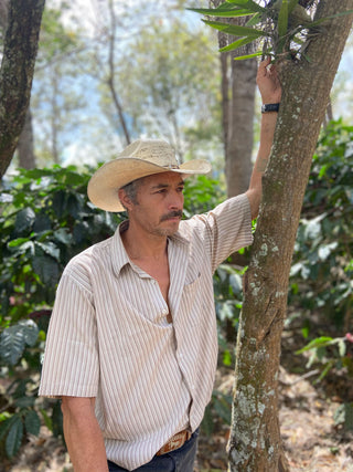 Armando Quinteros standing beside a tree on a coffee farm, wearing a striped shirt and a straw hat
