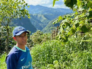 Coffee farm worker in blue shirt and cap among lush coffee plants with distant mountains