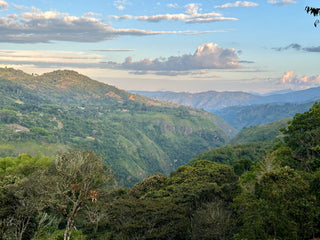 Panoramic view of green Tolima mountains in Colombia with rolling hills under a blue sky