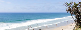 Sunny beach scene with turquoise water, white surf, and palm trees along the shore
