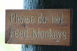 Wooden sign carved with Please do not Feed Monkeys