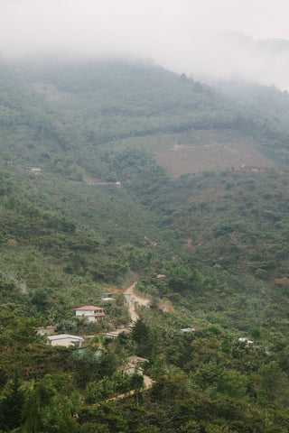 Mist-shrouded Guatemalan hillside with green terraces and small houses representing Alma origin.