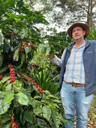Man in a hat stands beside coffee plants with red cherries on a Guatemalan farm.