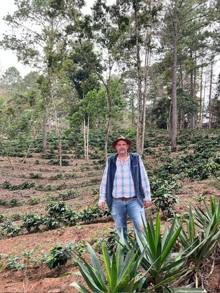 Man in a hat stands in a terraced coffee plantation with tall trees in the background.
