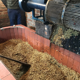 Blue industrial coffee processing equipment with a conveyor roller and beans spilled on a brick floor