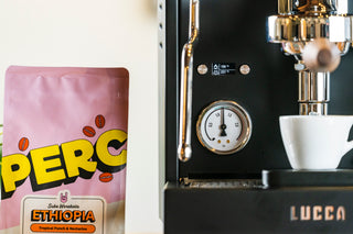 LUCCA M58 Sunto dual boiler espresso machine close up with portafilter and OLED display