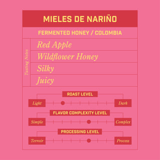 Morningsong Coffee Roasters MIELES DE NARIÑO Fermented Honey Colombia Whole Bean Coffee bag on pink backdrop
