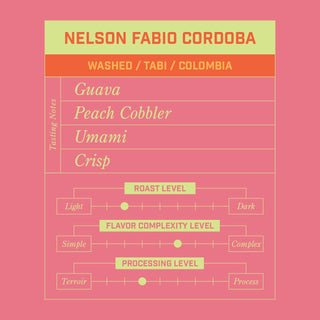 Nelson Fabio Cordoba washed coffee bag from El Silencio Huila on a pink backdrop