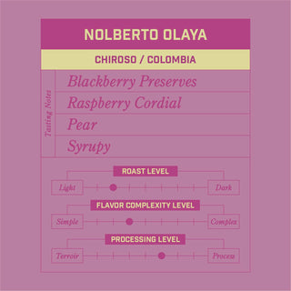 Nolberto Olaya Chiroso Colombia bag label with purple yellow panel on pink background