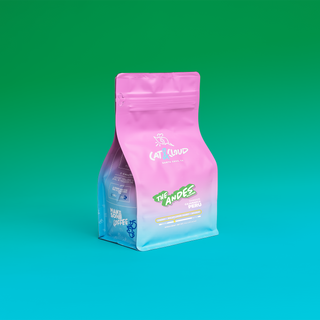 Peru The Andes Washed coffee bag in pink against a green to blue gradient background.