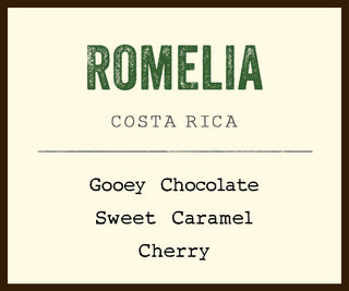 Romelia Costa Rica coffee label card with bold ROMELIA and tasting notes Gooey Chocolate Sweet Caramel Cherry.