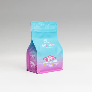 Spring Fling coffee bag in blue packaging set against a cool gray gradient backdrop