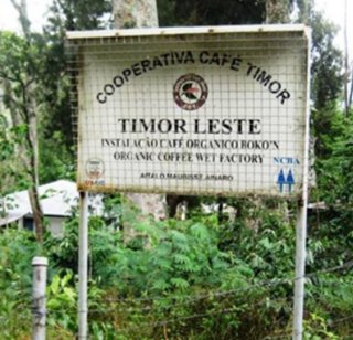 Timor Leste coffee cooperative sign on a farm reading Cooperativa Cafe Timor Timor Leste
