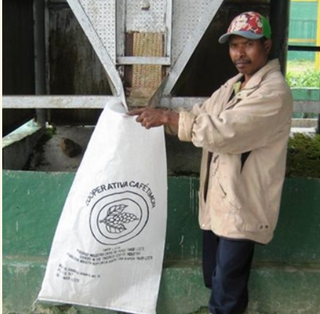 Worker in a beige jacket stands beside a white bag with the Cooperativa Cafe Timor logo