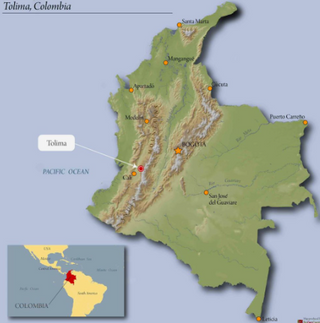 Colombia Tolima region map with Tolima highlighted