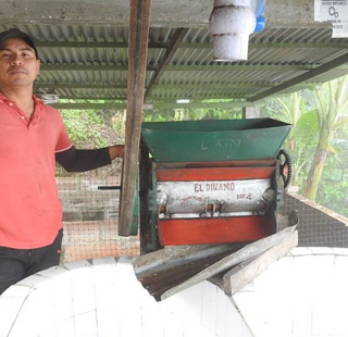 Colombia Tolima espresso being roasted beside an El Dinamo roaster with a man in a red shirt