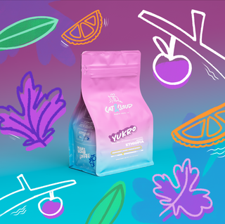 Pink Cat & Cloud Ethiopia Yukro coffee bag against a vibrant abstract backdrop.