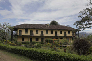 Two story yellow colonial building in a landscaped garden with hedges and palm trees at Villa Loyola.