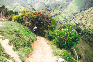 Traveler with backpack stands on a dirt path among lush coffee plants on a Colombian hillside