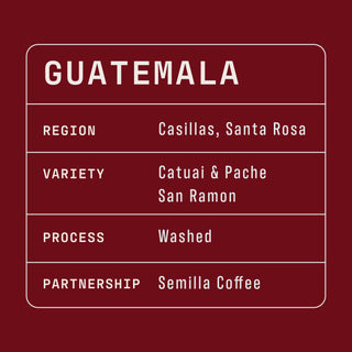 Guatemala information board with large GUATEMALA text and region names on a maroon backdrop