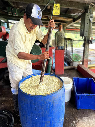Worker wearing a cap stirs pineapple mash in a large blue drum during processing at Finca Santa Ana